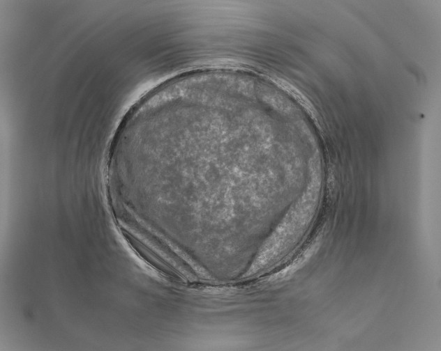 X0000111150989200907281129