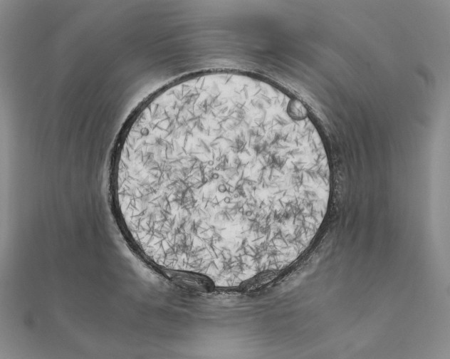 X0000111150991200907281129