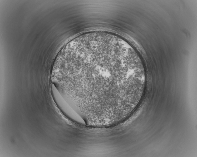 X0000111150993200907281129