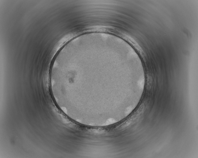 X0000111150994200907281129