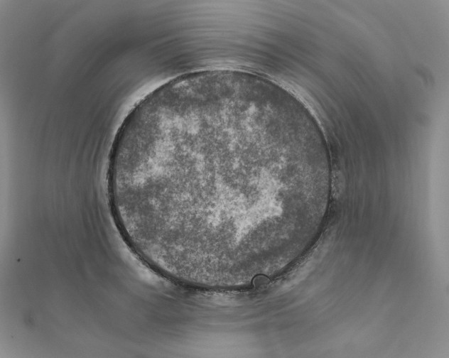 X0000111150995200907281129