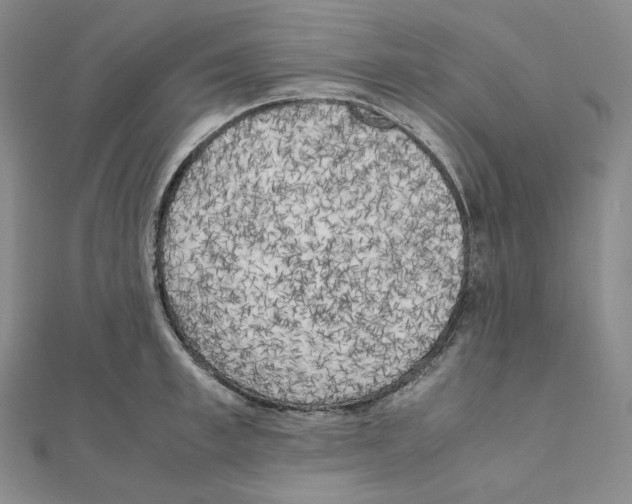 X0000111150997200907281128