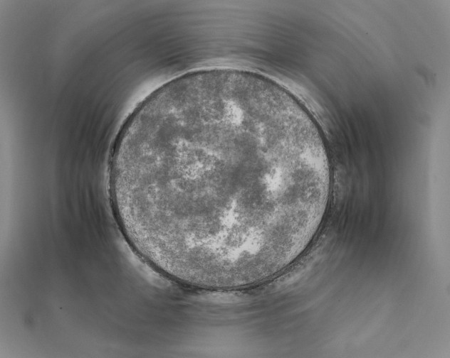 X0000111150998200907281128