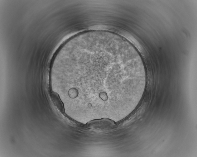 X0000111151000200907281128