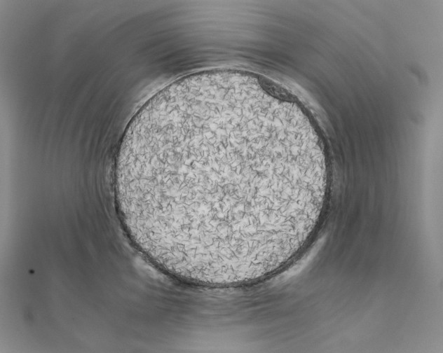 X0000111151001200907281128