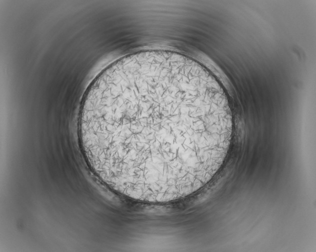 X0000111151002200907281128