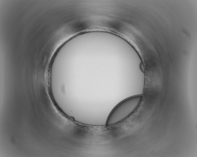 X0000111151003200907281128