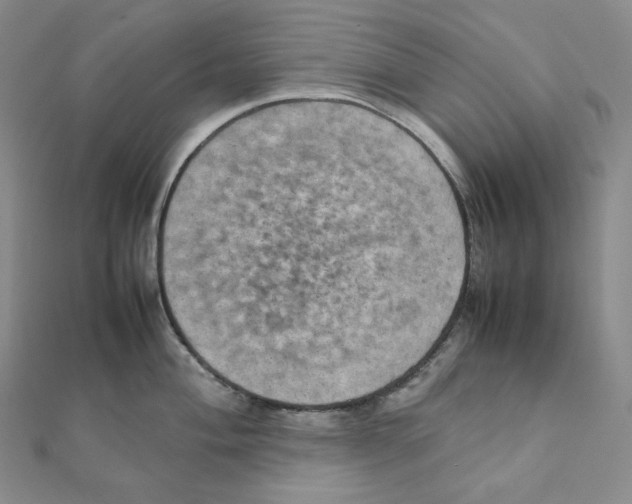 X0000111151004200907281128