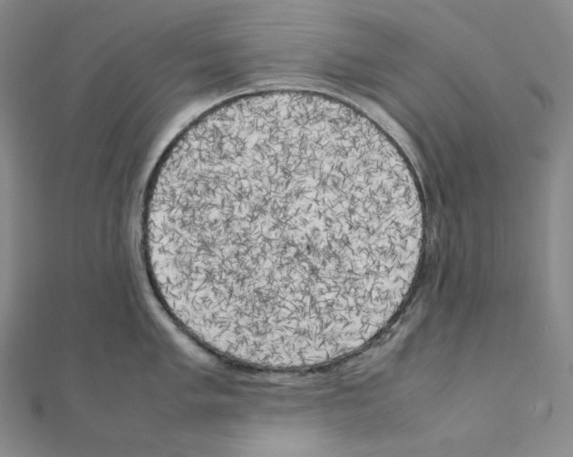 X0000111151005200907281128