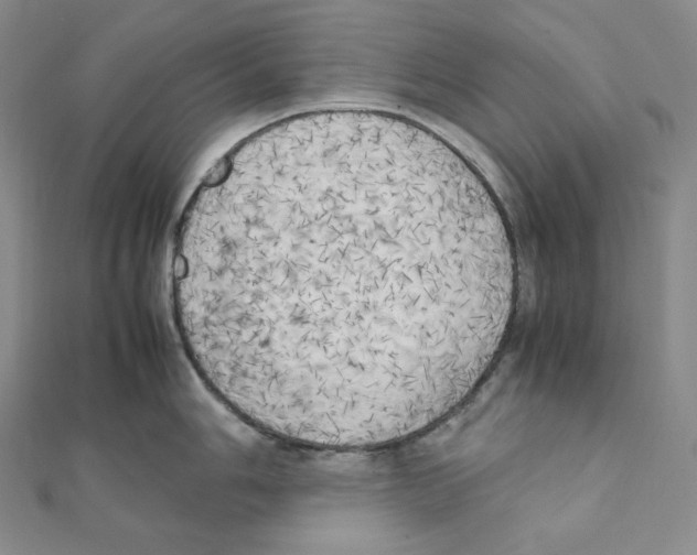 X0000111151006200907281128