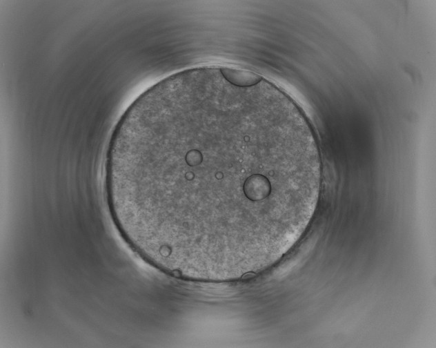 X0000111151007200907281128