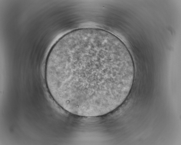 X0000111151008200907281128