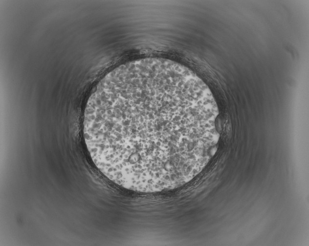 X0000111151012200907281128