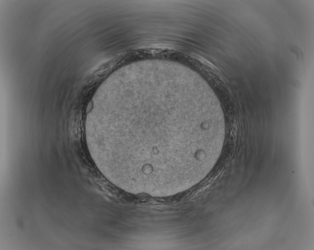 X0000111151014200907281128