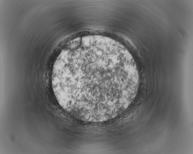 X0000111151016200907281128