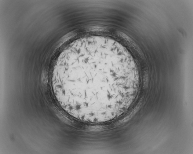 X0000111151017200907281128