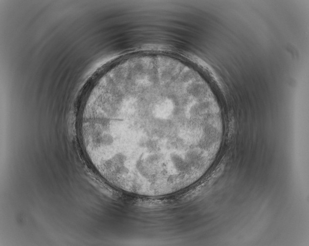 X0000111151019200907281128