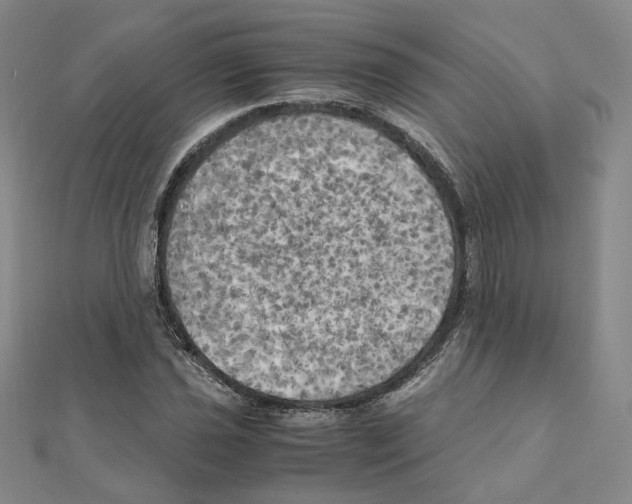 X0000111151021200907281128