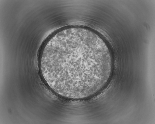 X0000111151022200907281128