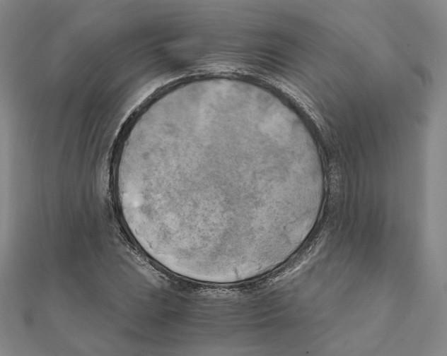 X0000111151023200907281128