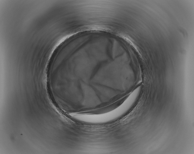 X0000111151024200907281128