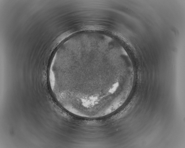 X0000111151025200907281128