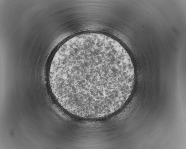 X0000111151026200907281128