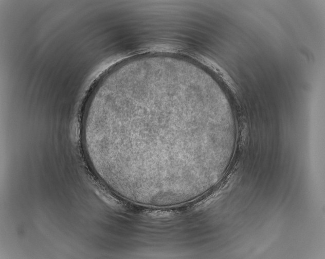 X0000111151027200907281128