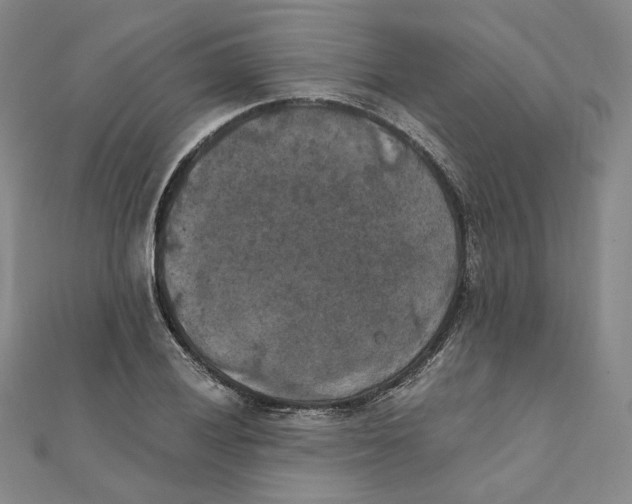 X0000111151028200907281128