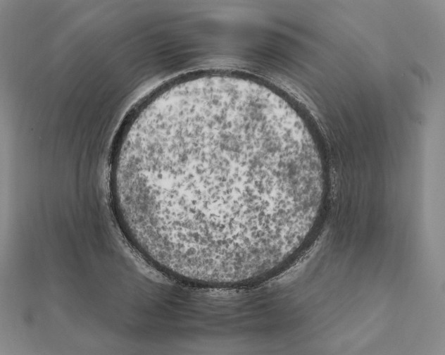 X0000111151029200907281128