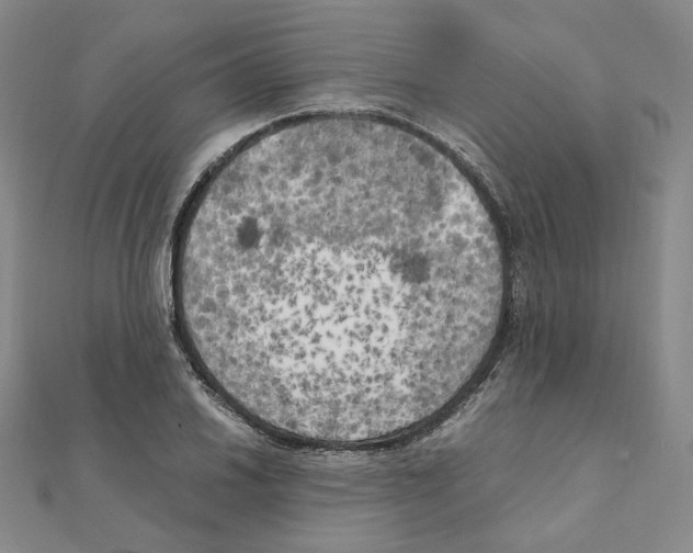 X0000111151030200907281128