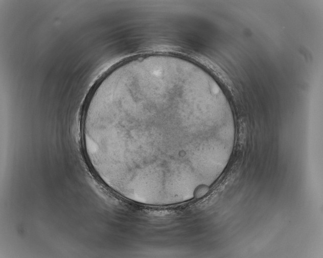 X0000111151031200907281128