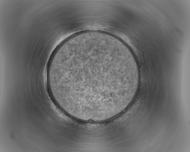 X0000111151032200907281128