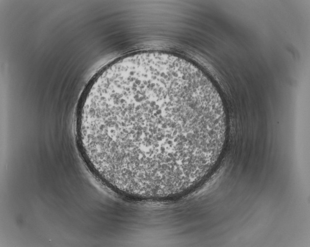 X0000111151034200907281128