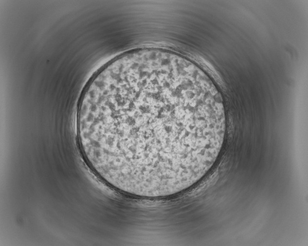 X0000111151036200907281128