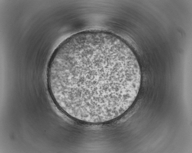 X0000111151038200907281128