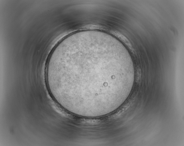 X0000111151039200907281128