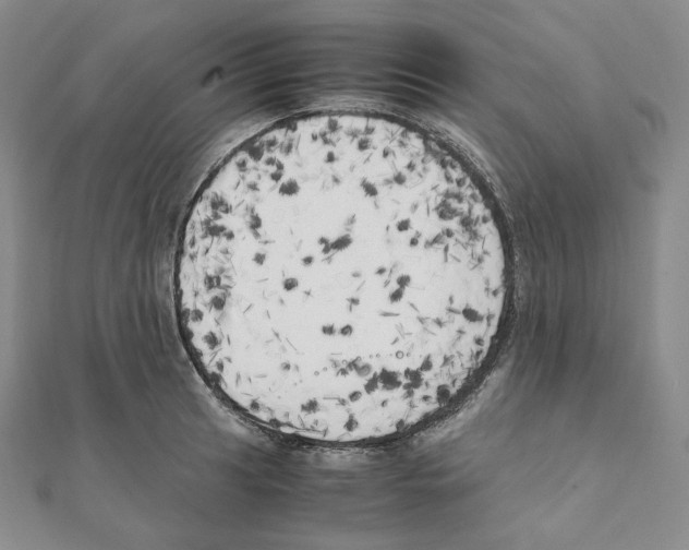 X0000111151041200907281128