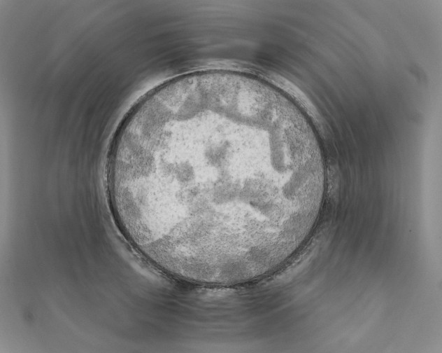 X0000111151043200907281128