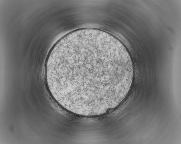 X0000111151044200907281128