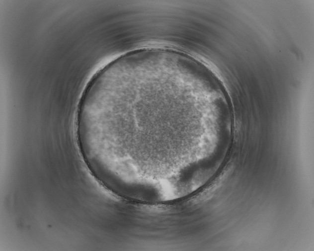 X0000111151045200907281128