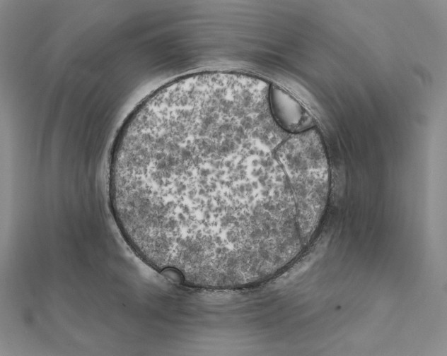 X0000111151046200907281128