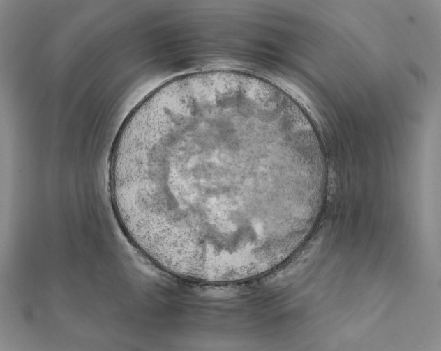 X0000111151047200907281128