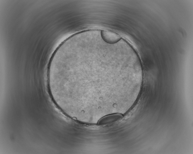 X0000111151048200907281128