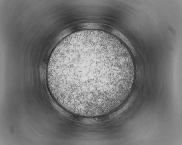 X0000111151049200907281128