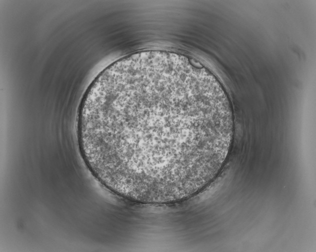 X0000111151050200907281128