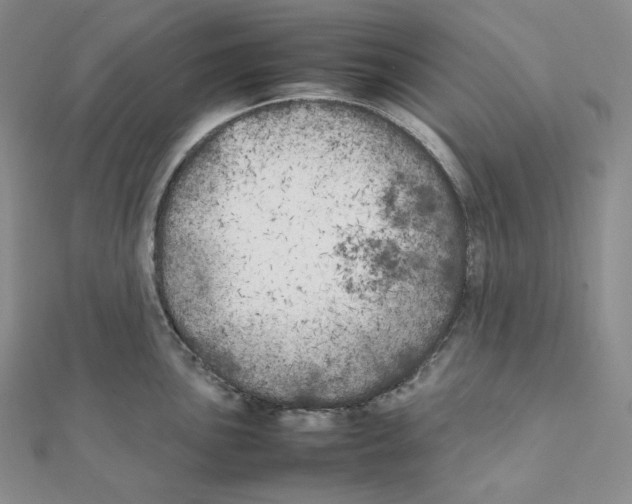 X0000111151051200907281128