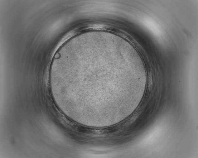 X0000111151052200907281128