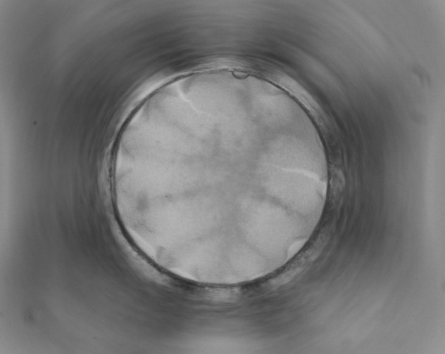 X0000111151055200907281128