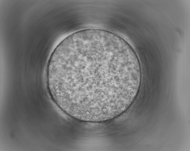 X0000111151056200907281128